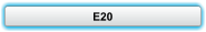 E20